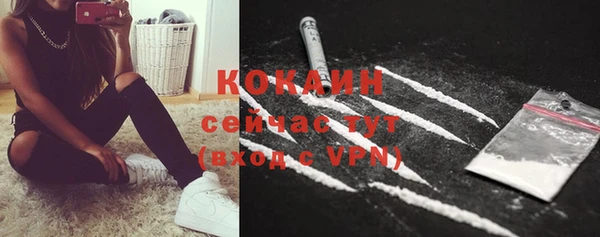 ешки Алексин