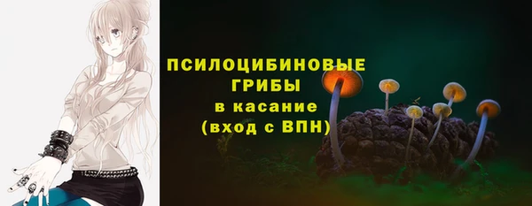 ешки Алексин