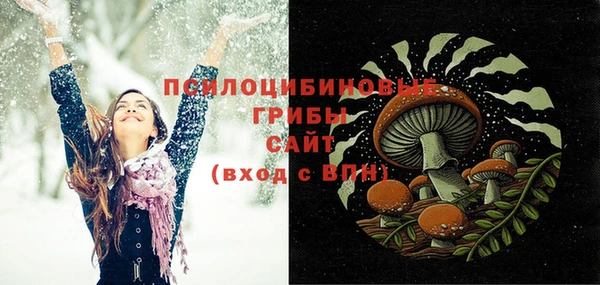 ешки Алексин