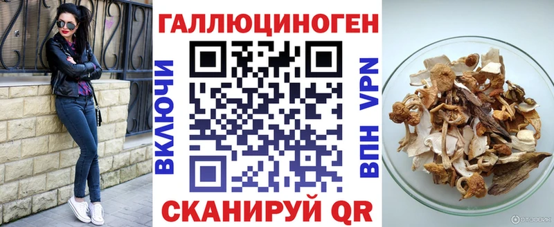 omg ТОР  Куровское  Псилоцибиновые грибы Cubensis  где можно купить наркотик 