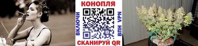 Шишки марихуана гибрид  mega ссылки  Куровское 